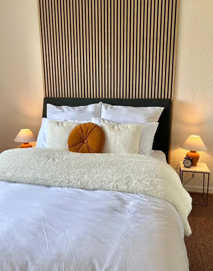 Family Friendly Work From Home 2Br, Balcony, Wifi, Netflix, Near Basf Ludwigshafen am Rhein Apartment